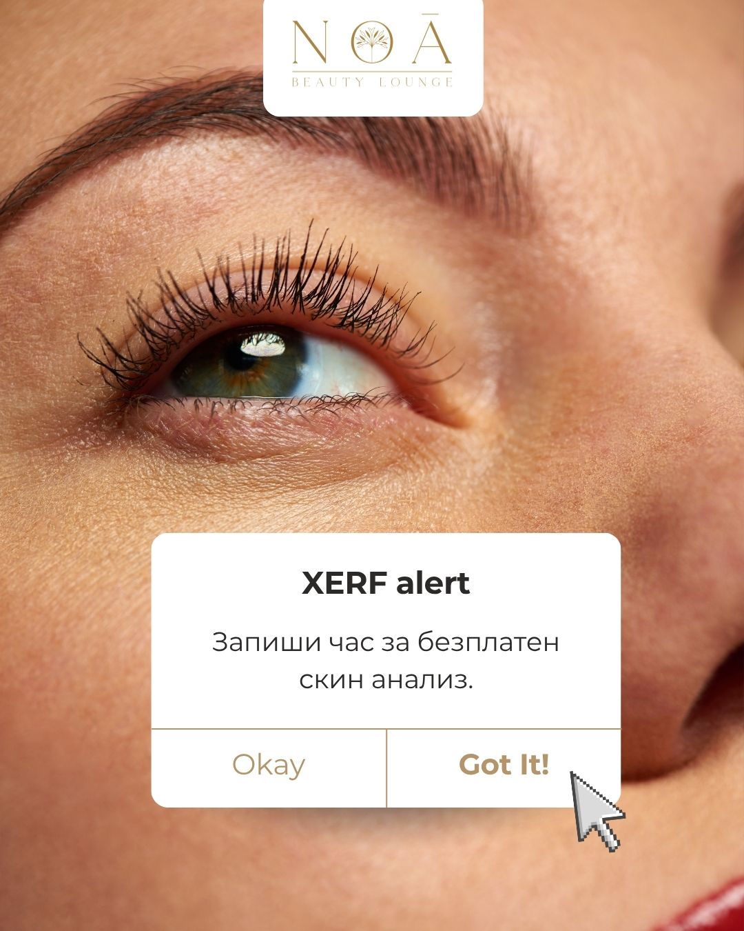 XERF – индивидуален подход Индивидуална оценка на кожата преди XERF процедура в NOA Beauty Lounge